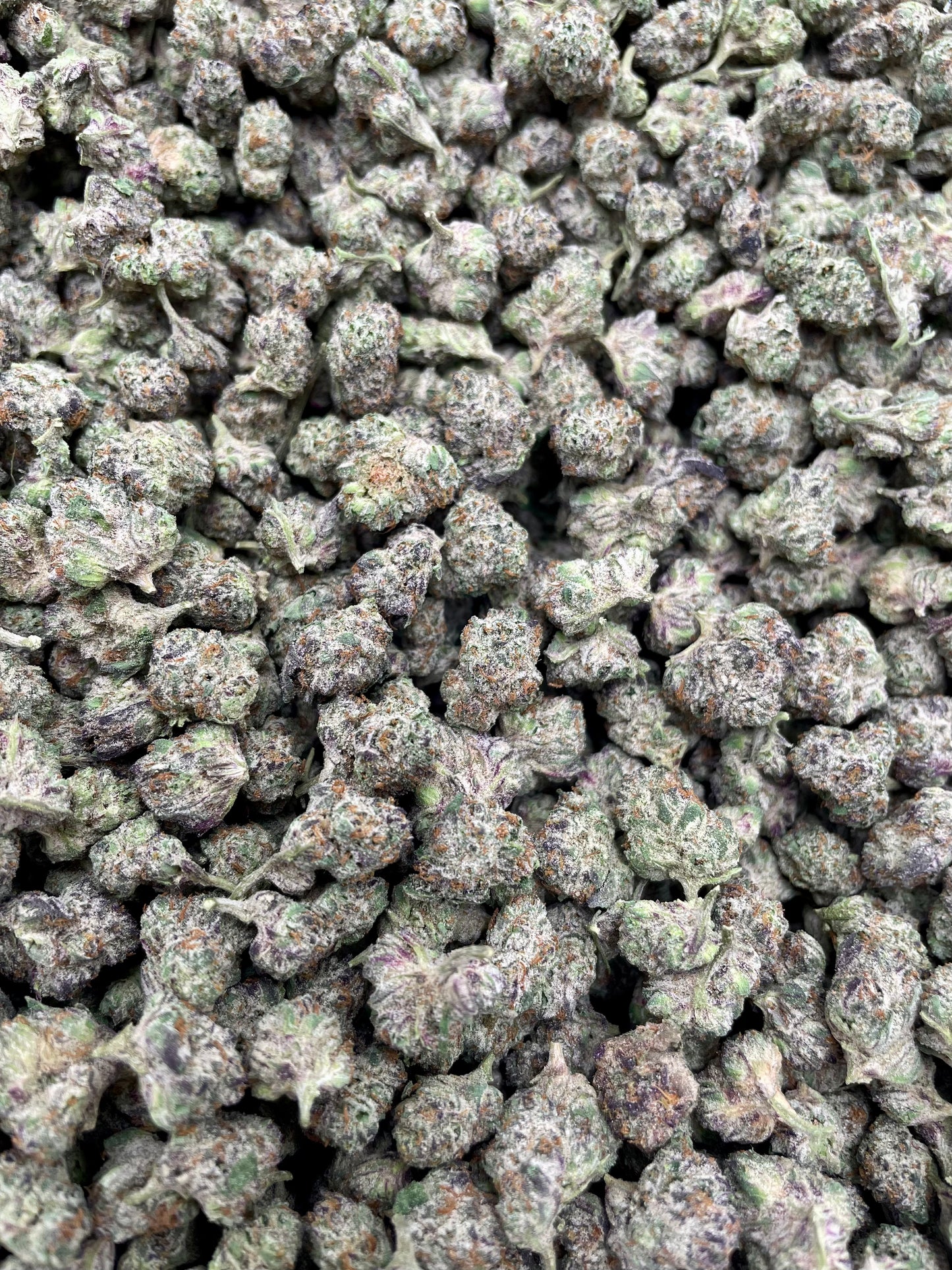 Grape Gas smalls
