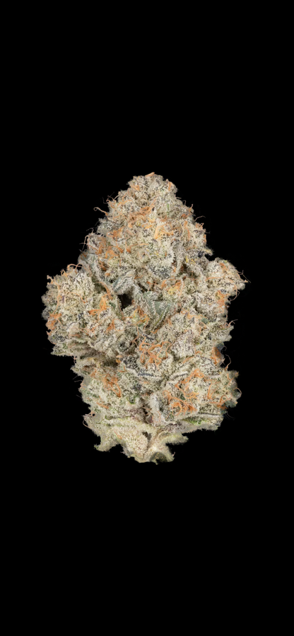 CBX 3.5g Mount Zereal Kush (h)