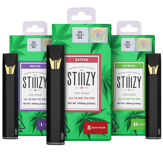 STIIZY 1g AIO Disposable